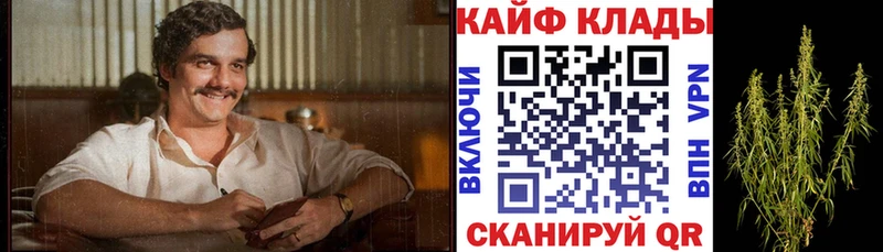Какие есть наркотики Курск Канабис Галлюциногенные грибы Метадон COCAIN ГАШ