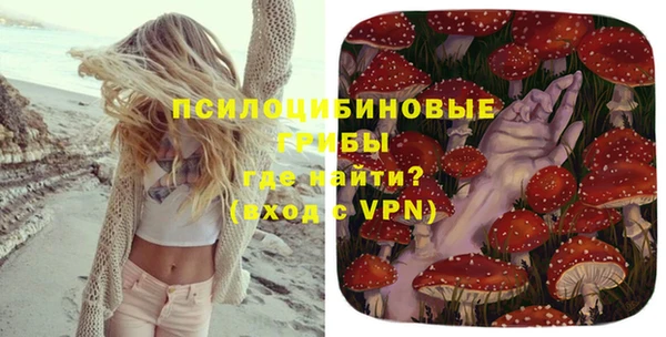 молекула духа Семёнов