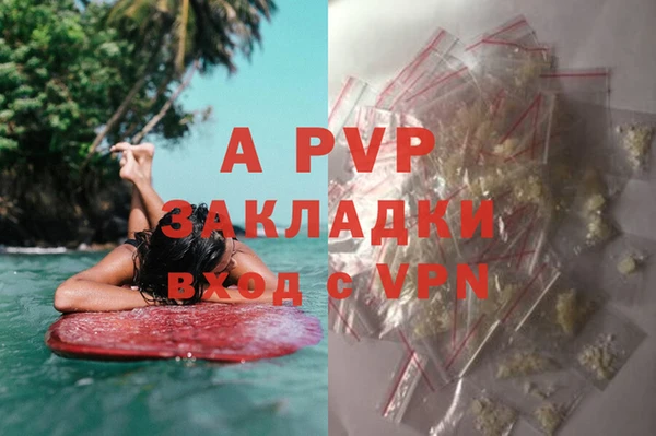 спиды Абаза