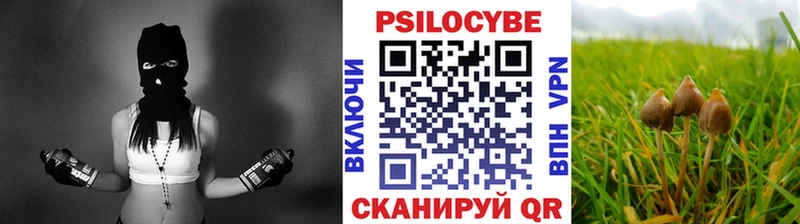 Галлюциногенные грибы Magic Shrooms  Курск 