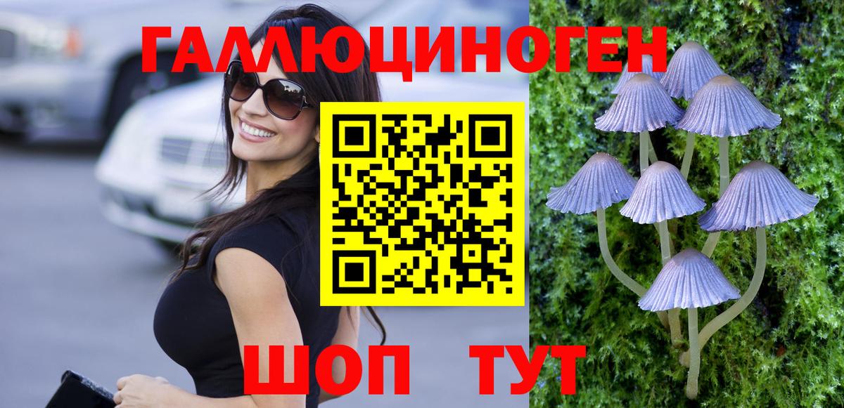 Курск  Псилоцибиновые грибы Cubensis  Галлюциногенные грибы Psilocybe  Вход с VPN 